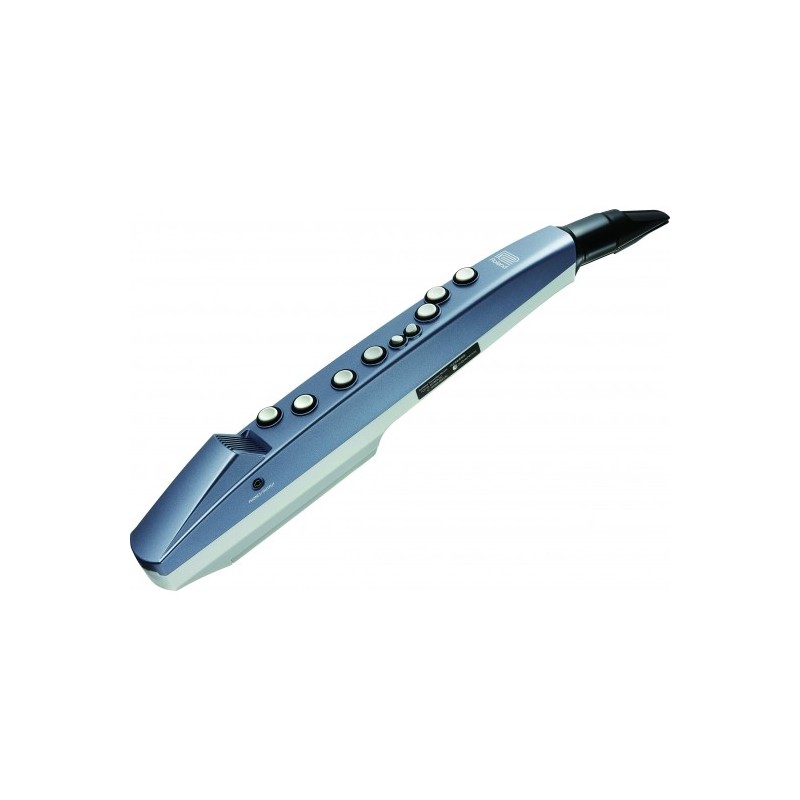 AE-01 Instrumento de Viento Digital color negro compatible con Android/iOS Bluetooth Mini por ROLAND