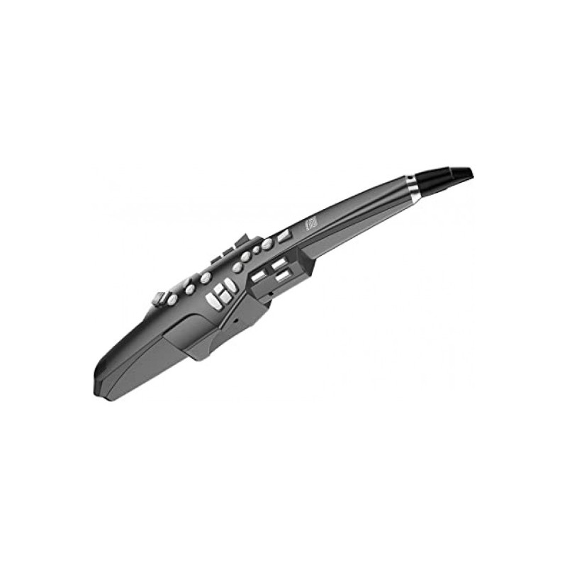 AE-10G Instrumento de Viento Digital color grafito negro por ROLAND