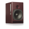 PSI Audio A21M  Monitor de Campo Medio y Cercano de Gran Resolución