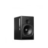 PSI Audio A21M Black Monitor de Campo Medio y Cercano de Gran Resolución