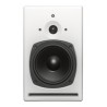 PSI Audio A21M WHITE Monitor de Campo Medio y Cercano de Gran Resolución