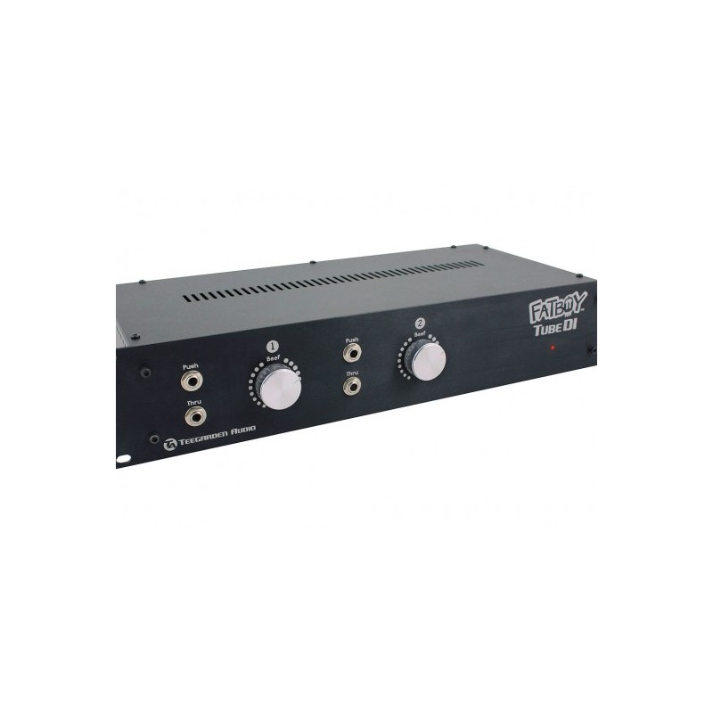 FATBOY TUBE DI Estéreo de Teegarden, en Rack de 2U